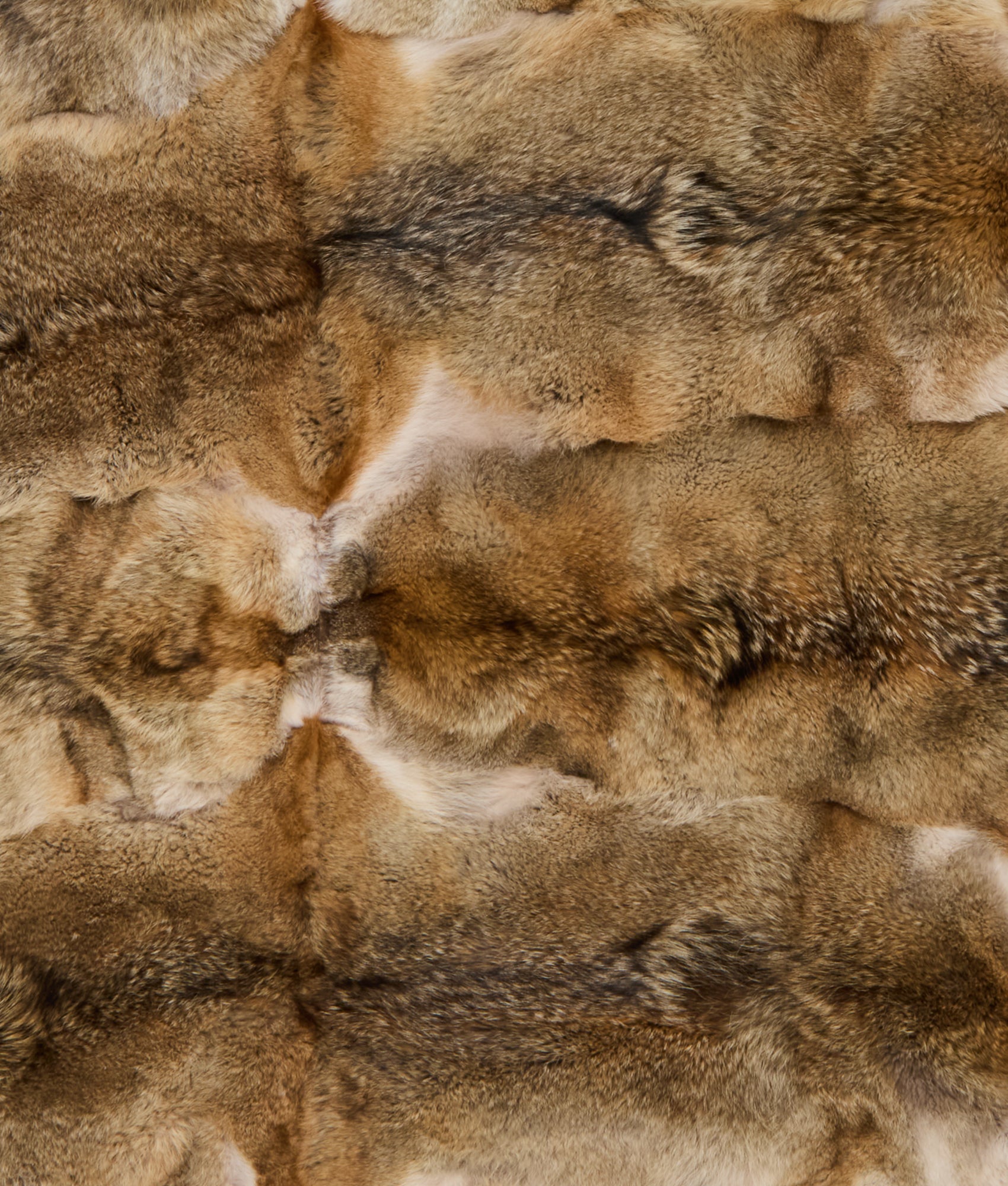 Royale Blanket :: Multi - Image 5