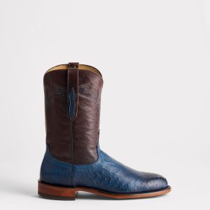 Sunset Exotic :: Navy