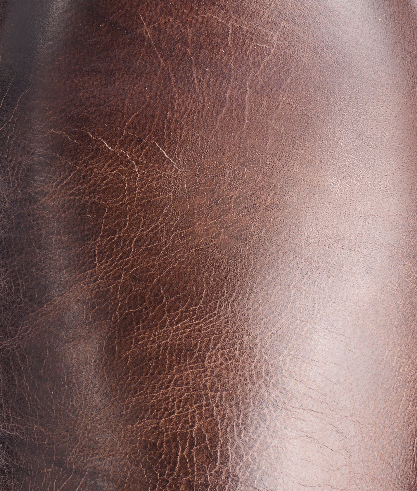 Sunset Roper :: Chocolate - Image 8