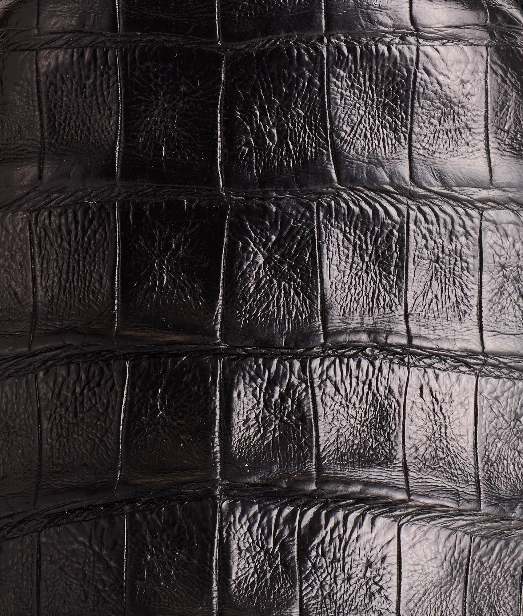 Wilson :: Black - Image 7