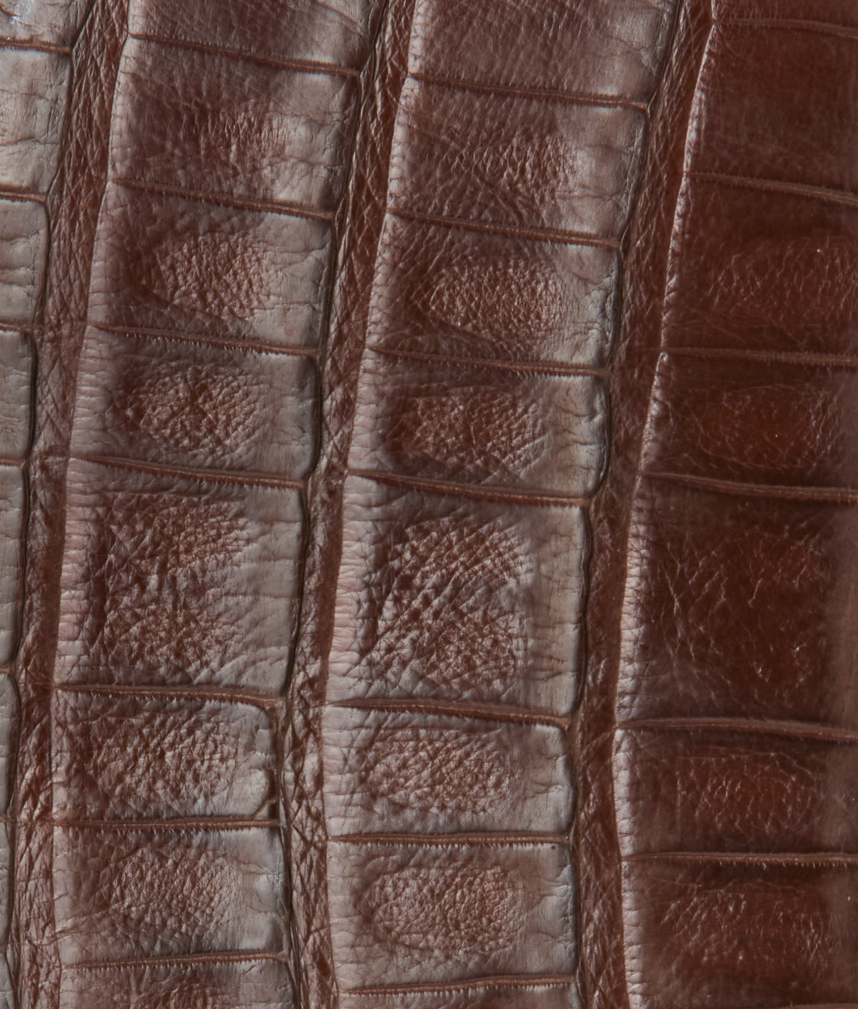 Bifold Wallet ?C Crocodile :: Sienna - Image 4