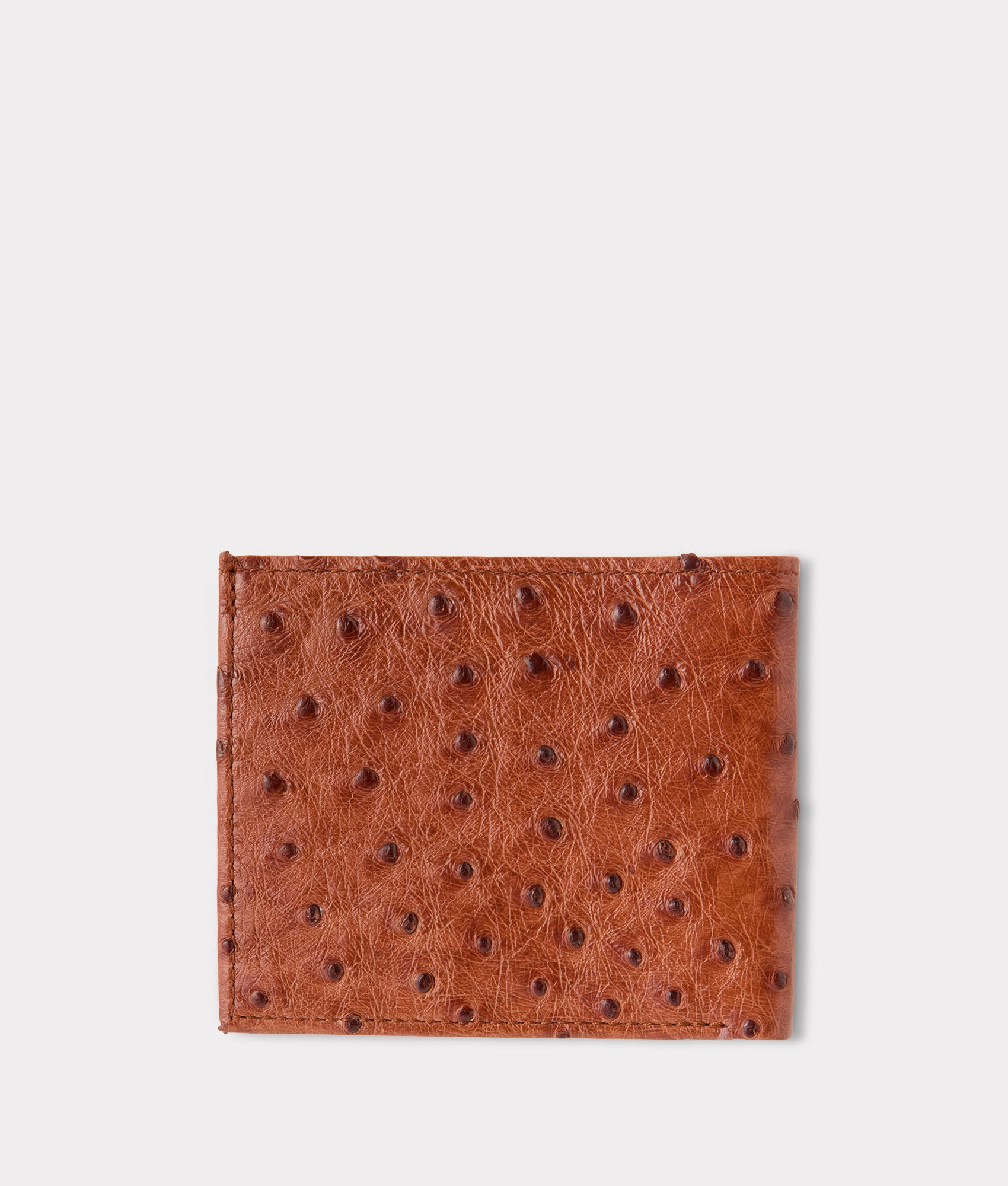 Hipster Wallet ?C Ostrich :: Cognac - Image 3