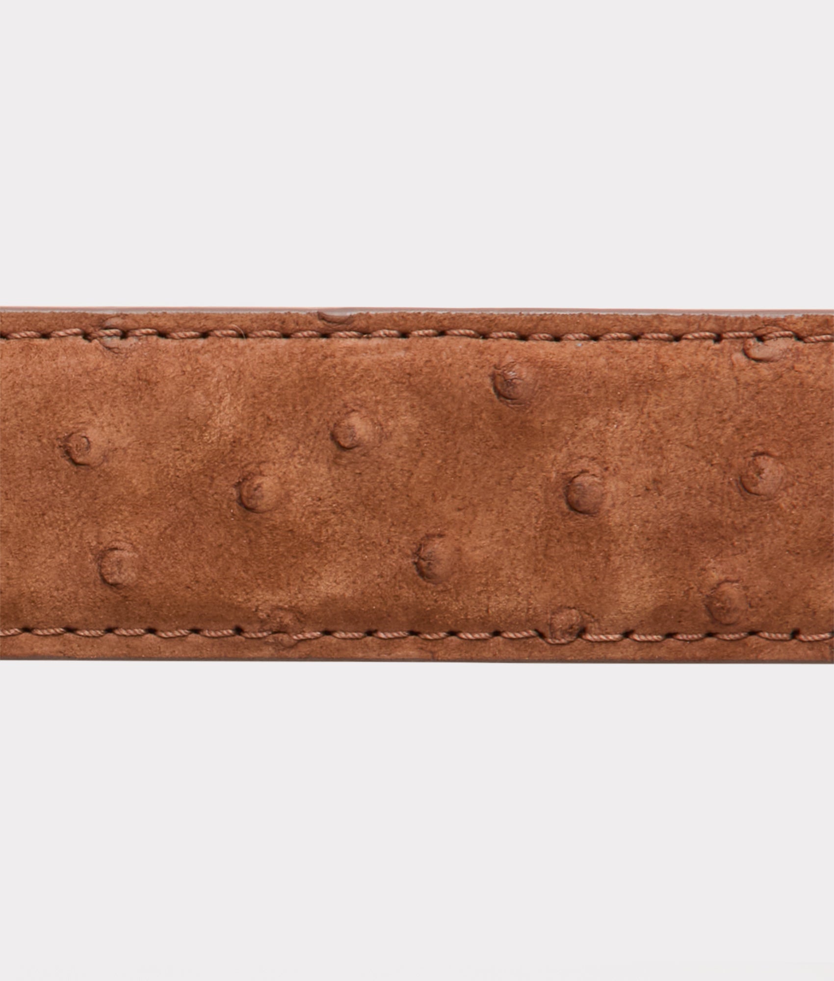 Straight Shooter Belt :: Tobacco - Image 7
