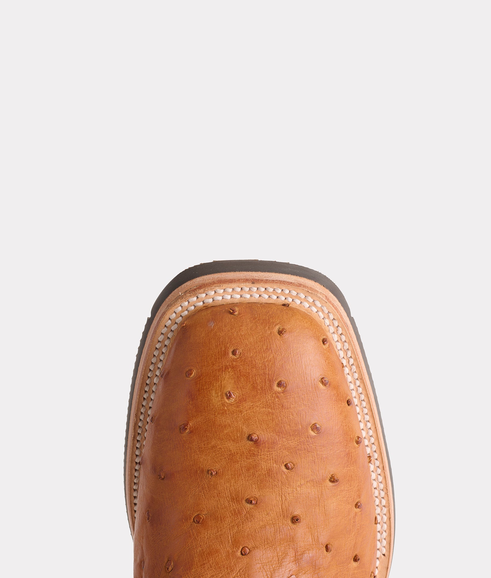 Rowdy Ostrich :: Cognac + Brown - Image 7