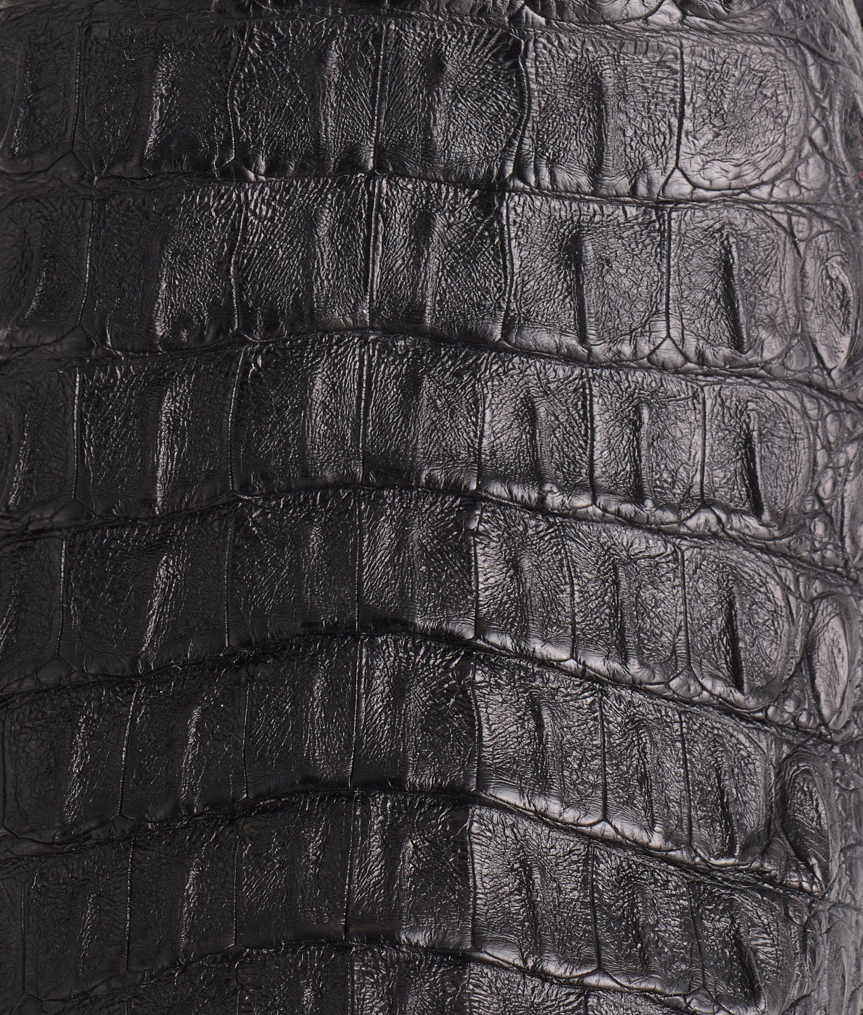 Walter :: Black - Image 8