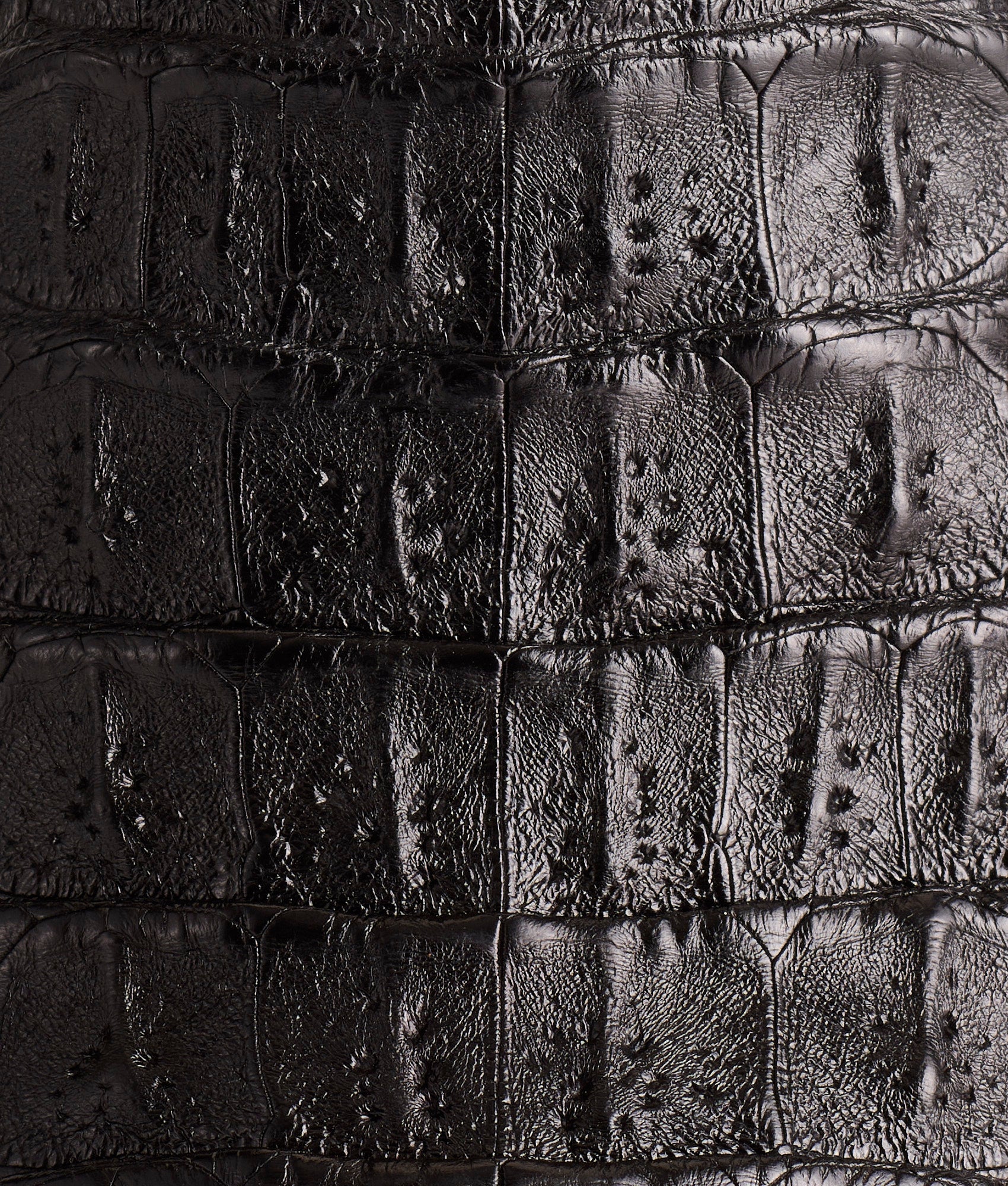 Walter :: Black - Image 14