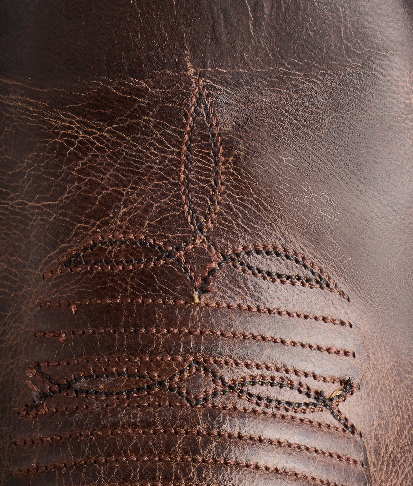 Corbin :: Chocolate + Mad Dog Goat - Image 8