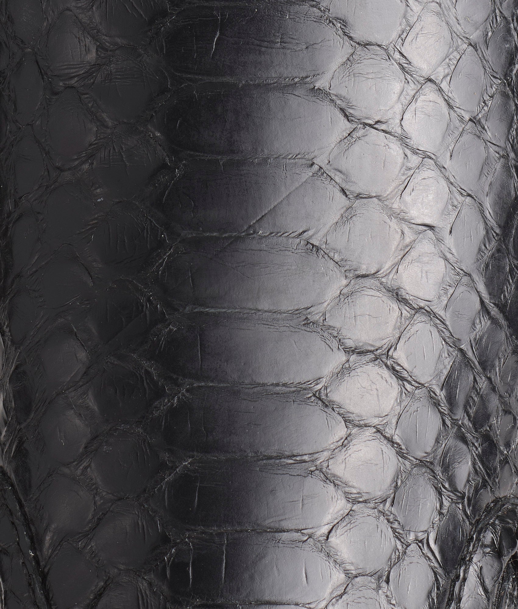 Mosaico Slip On :: Black Python - Image 8