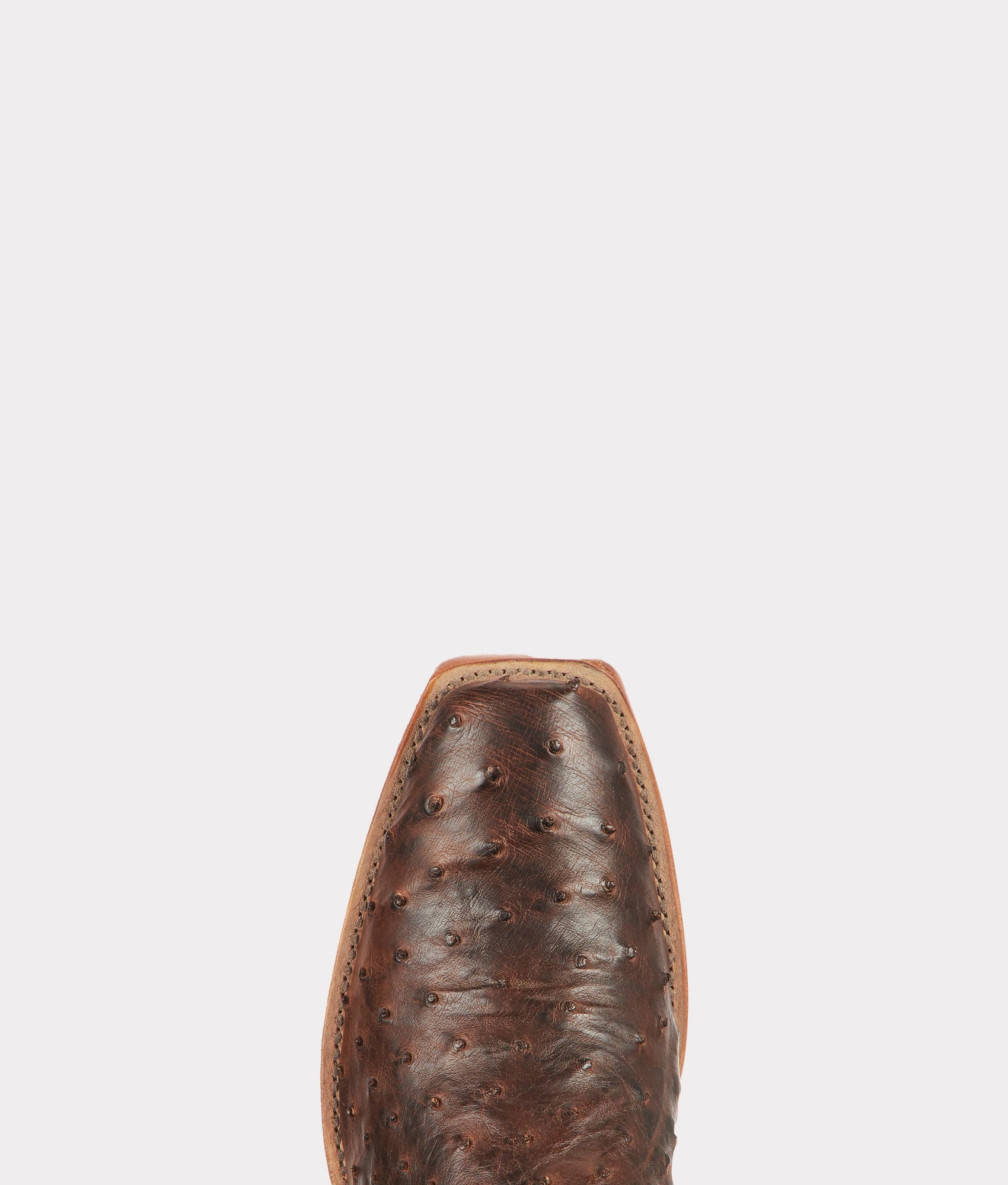 Nopales :: Tobacco - Image 7