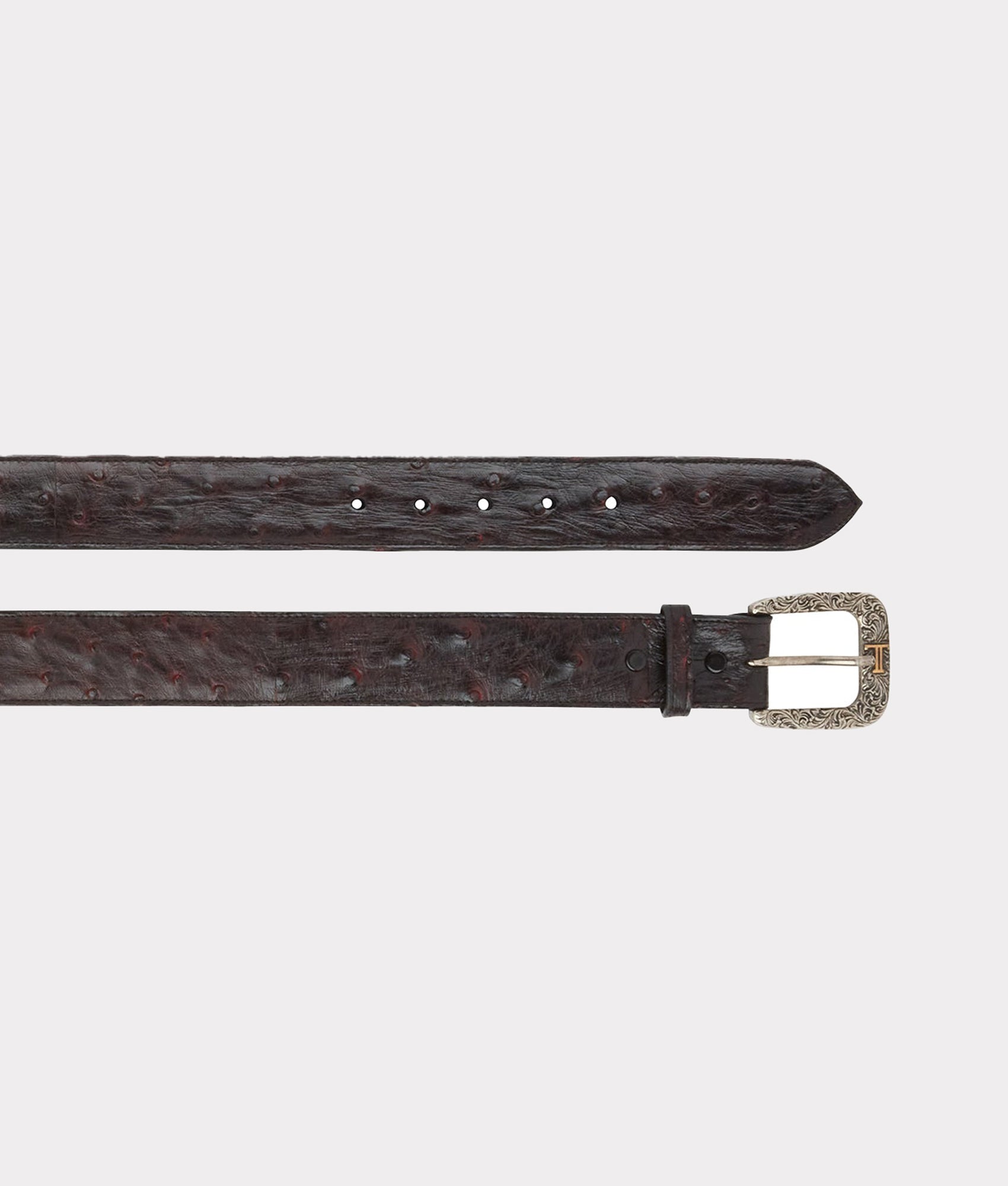 Full Quill Ostrich :: Black Cherry - Image 2