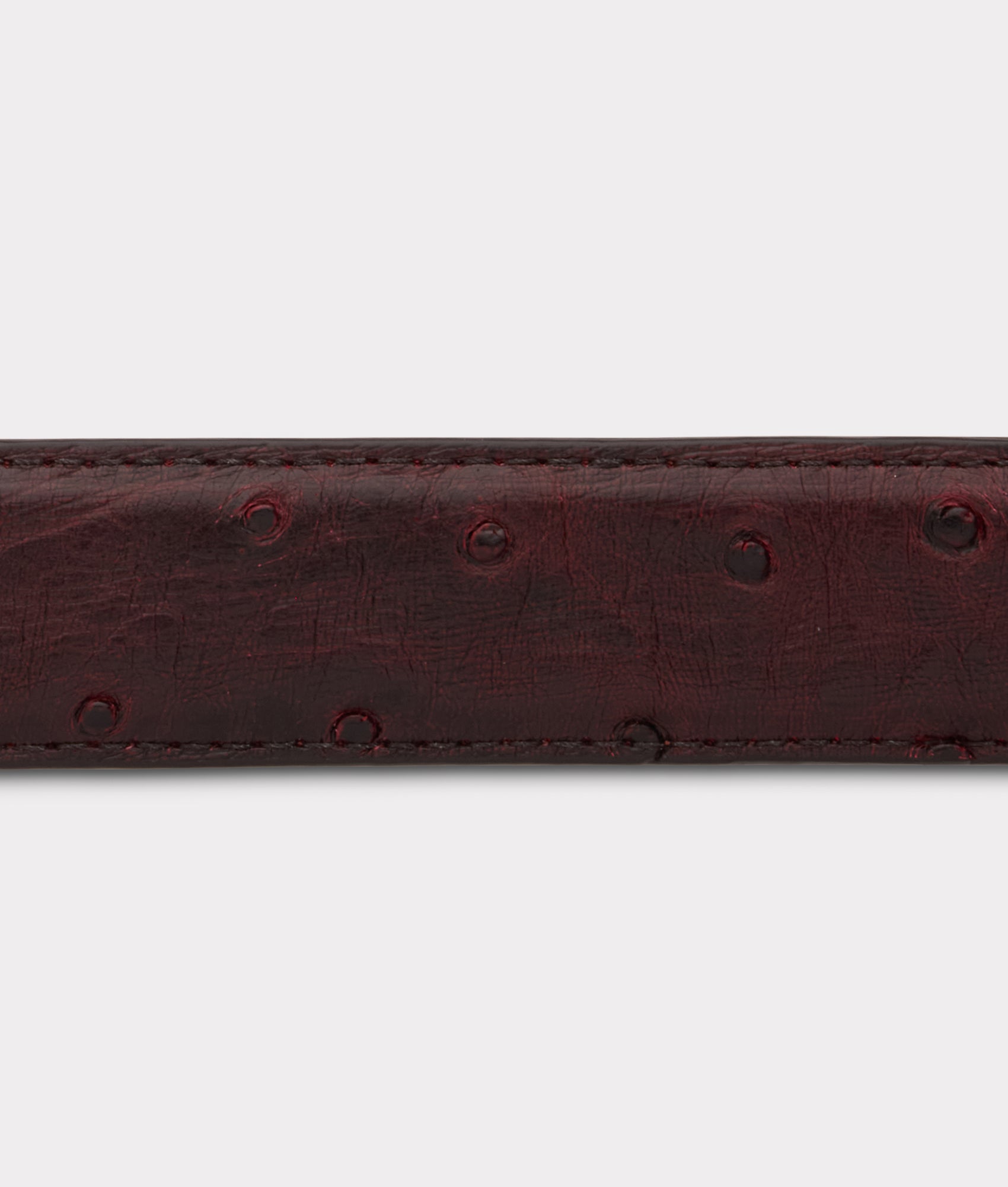 Full Quill Ostrich Tapered :: Black Cherry - Image 13