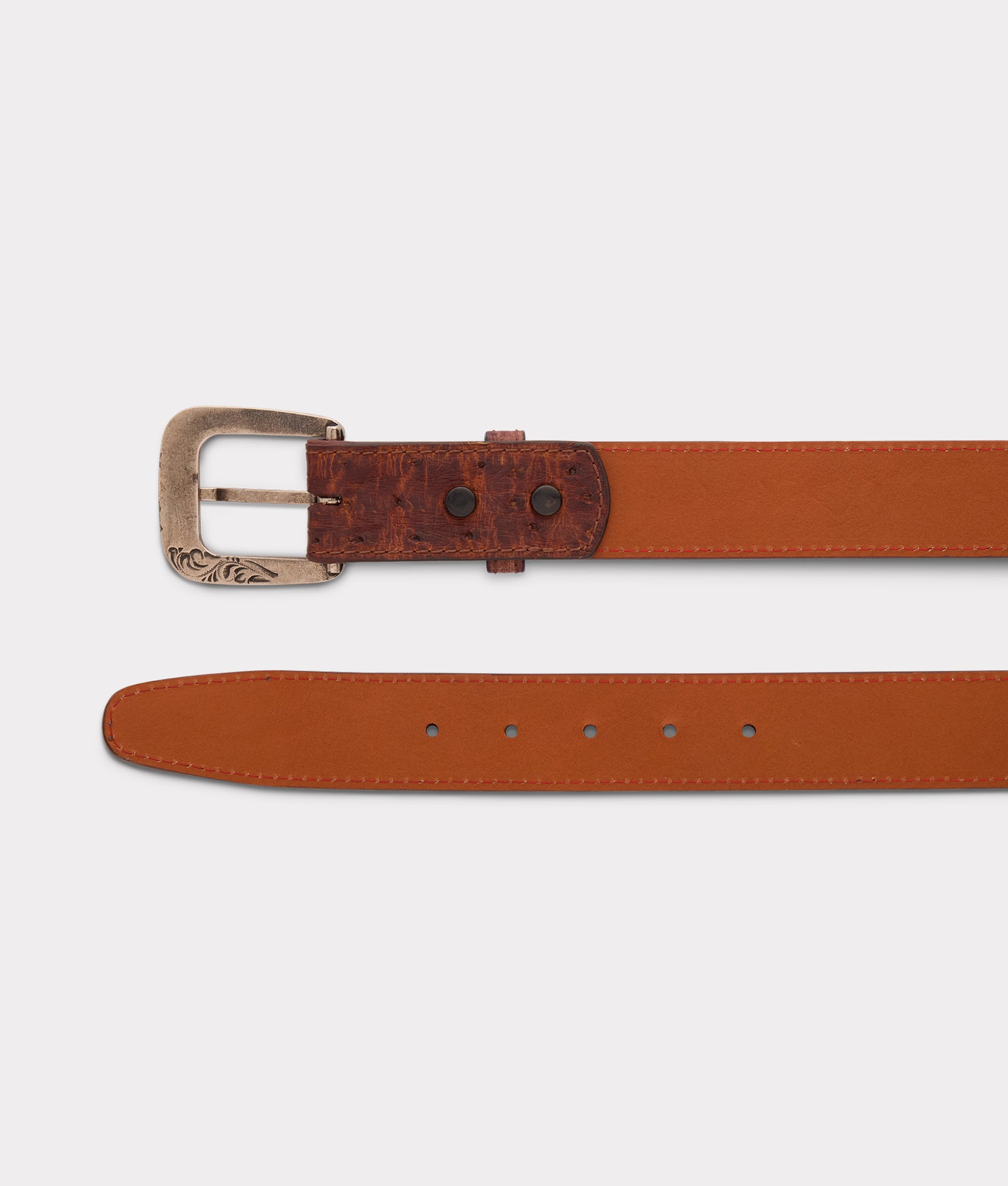 Full Quill Ostrich :: Sienna - Image 5