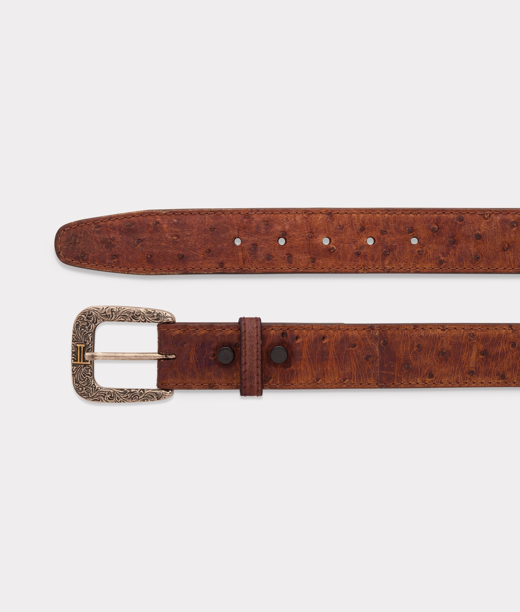 Full Quill Ostrich :: Sienna - Image 4